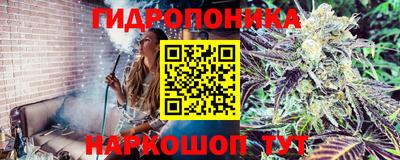 кокс Гусев