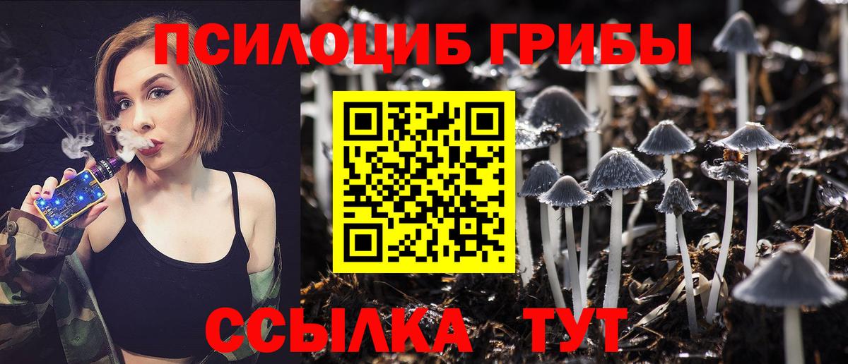 Медногорск  продажа наркотиков  Галлюциногенные грибы мицелий  Вход с VPN  Галлюциногенные грибы ЛСД 