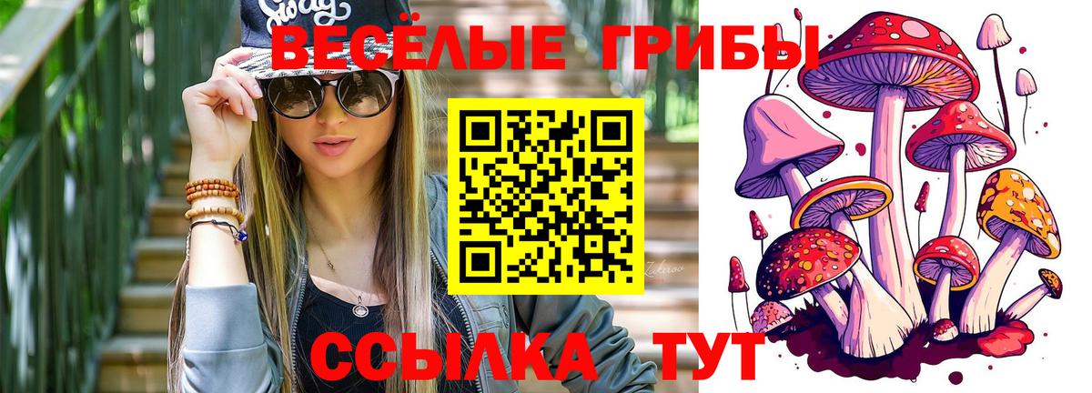 Галлюциногенные грибы GOLDEN TEACHER Медногорск